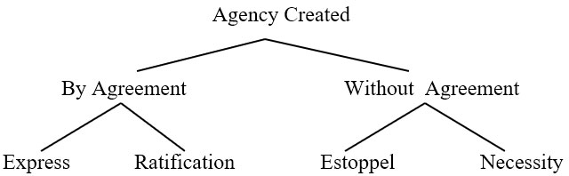 Agency Created Diagram