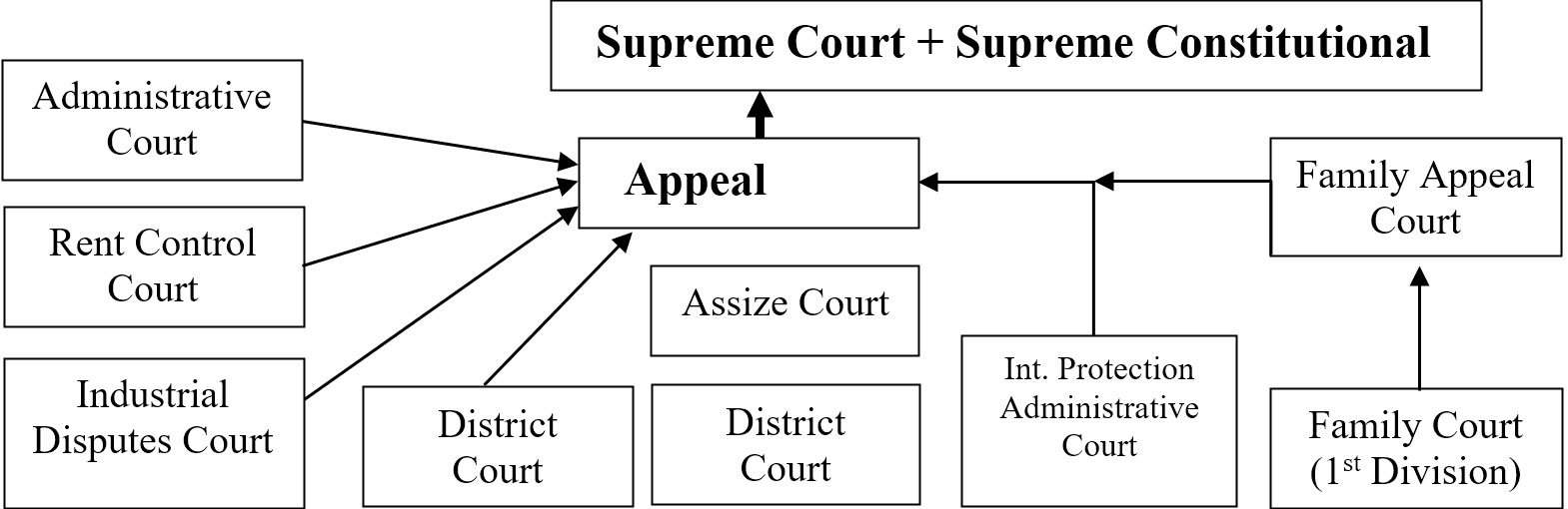 The Structure of the Courts of the Republic Diagram